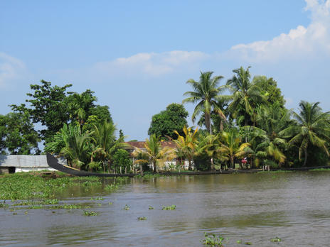 The Kerala backwaters