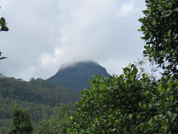 Adam's peak