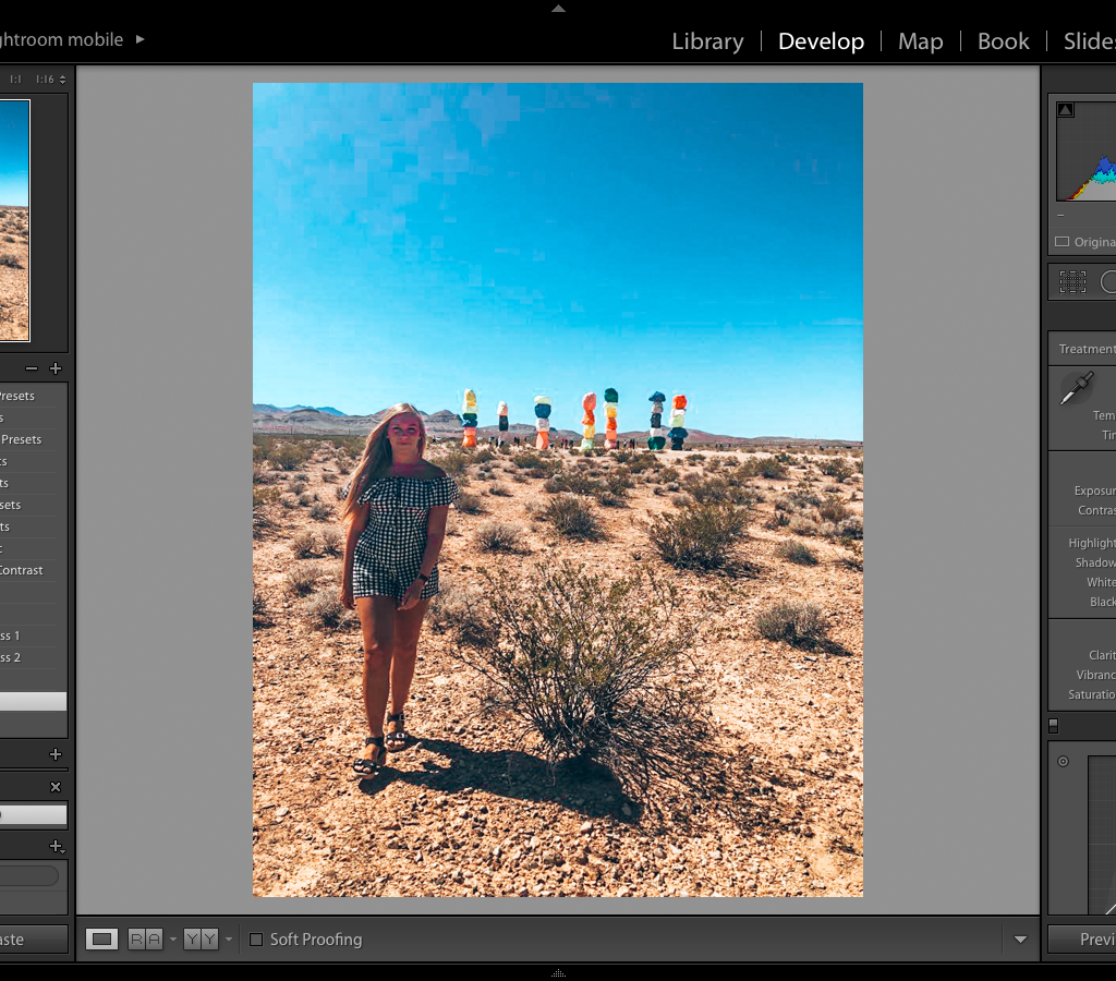 Develop and edit your image with your presets
